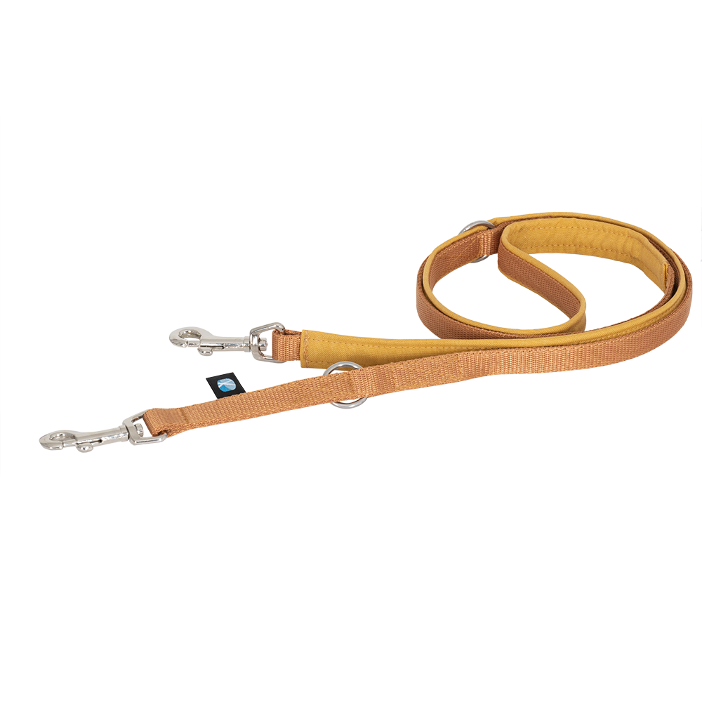 AnnyX Führleine Bolt Fun Goldglöckchen Middle