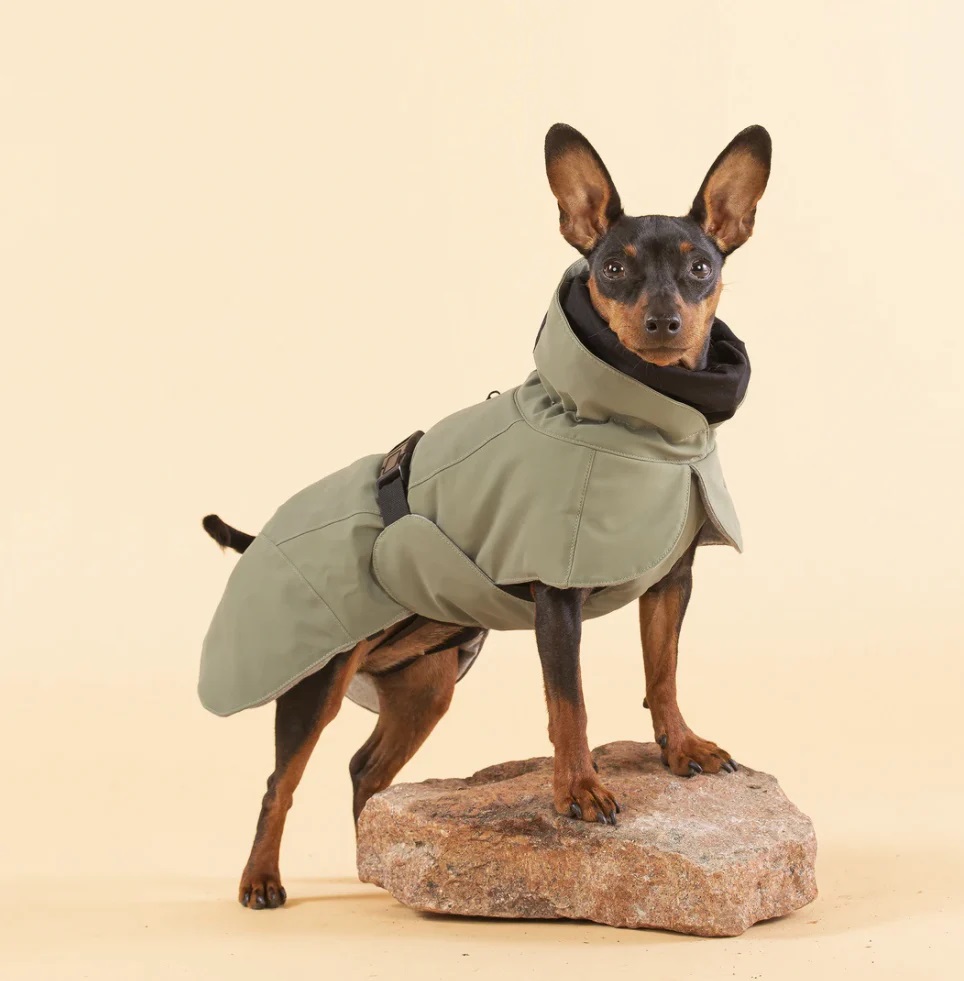 Screenshot2021-09-22at14-02-14 PAIKKA Visibility Wintermantel für Hunde Farbe Green