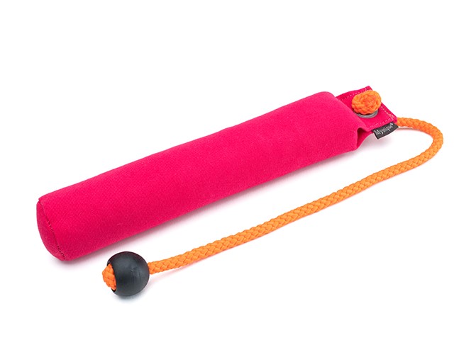 Mystique Dummy School 300g