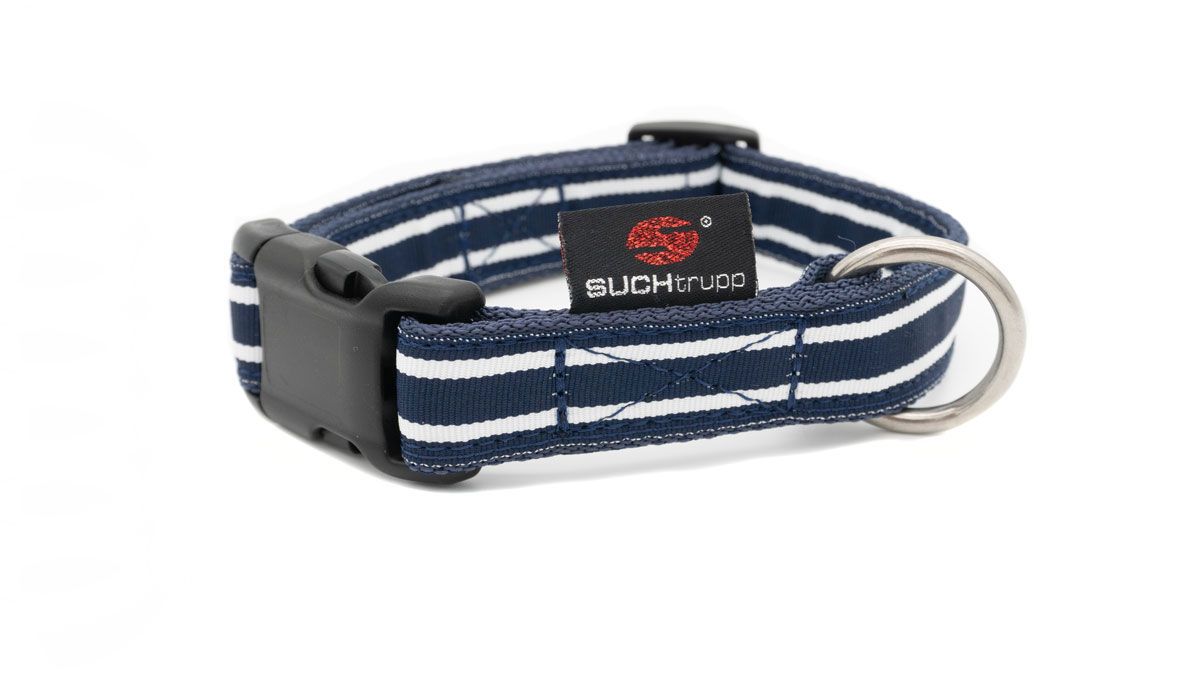 Suchtrupp-Jack-mit-BlauAK5zeQX0AwQrw SUCHtrupp® Jack Steckhalsband (unterlegt mit blauem Gurtband)