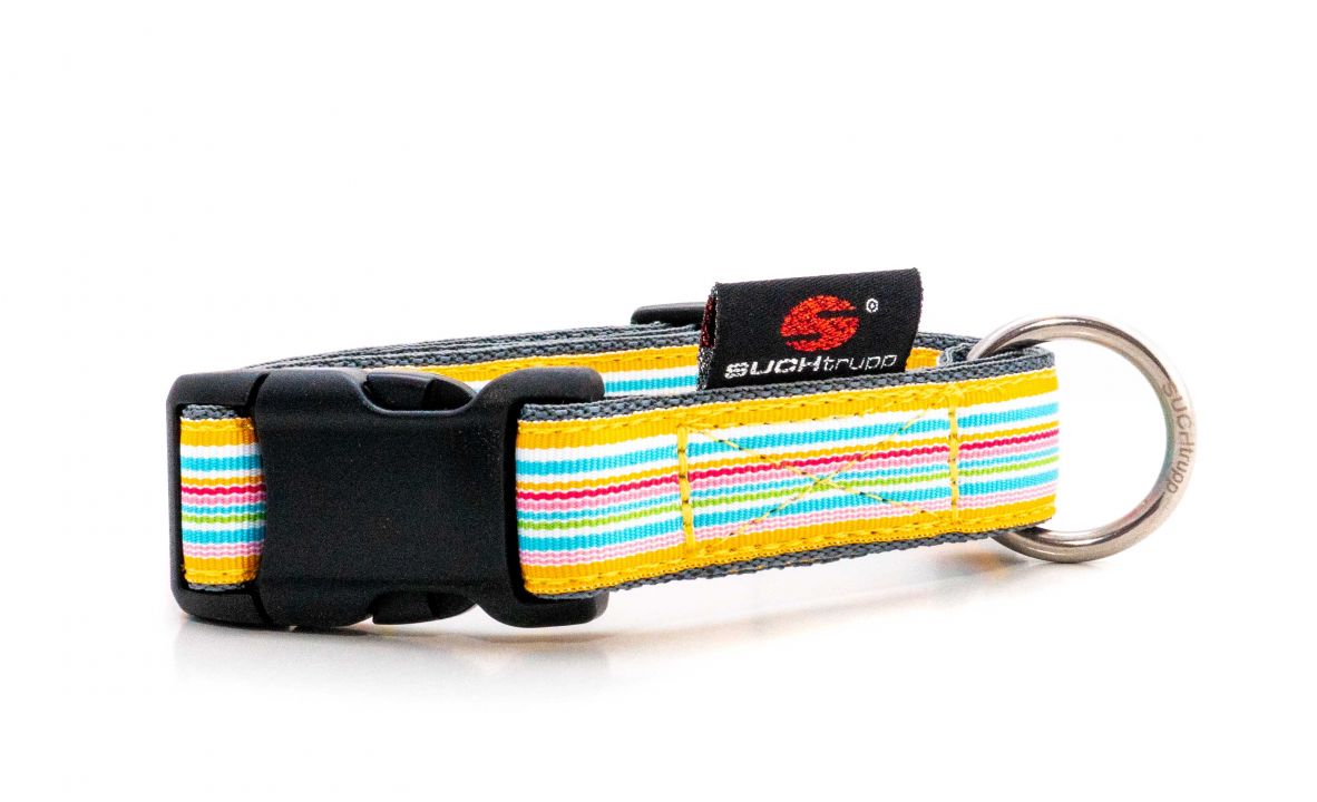 Suchtrupp-Steckhalsband-Sunny SUCHtrupp® Sunny / Grau Steckhalsband