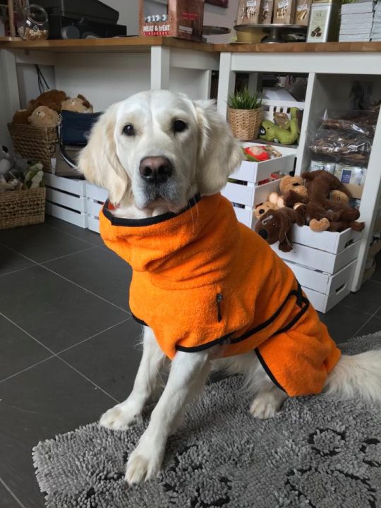 Dryup Cape Orange Hundemodel Lissy Dryup Cape Clementine