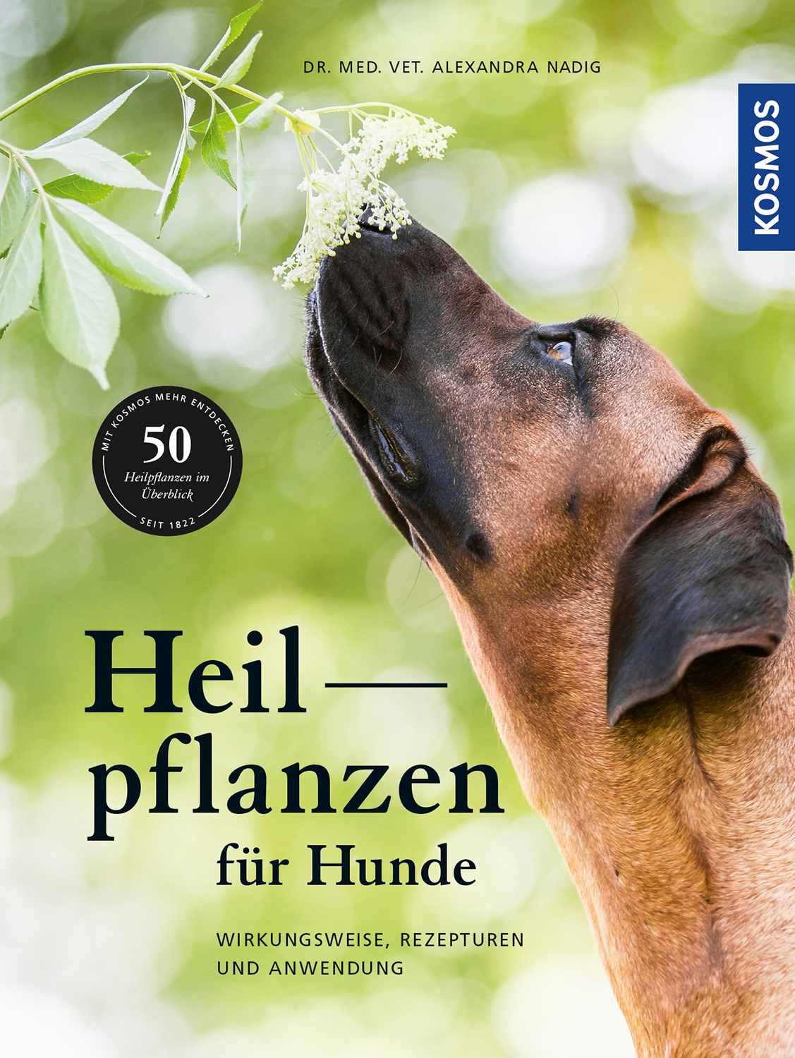 KOSMOS Heilkräuter für Hunde Alexandra Nadig