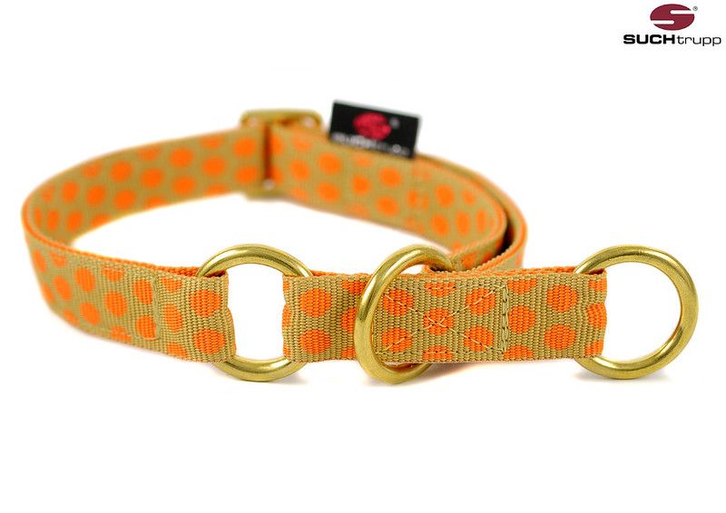 Suchtrupp-Schlupf-gold SUCHtrupp® Dots Beige-Orange Golden Schlupfhalsband