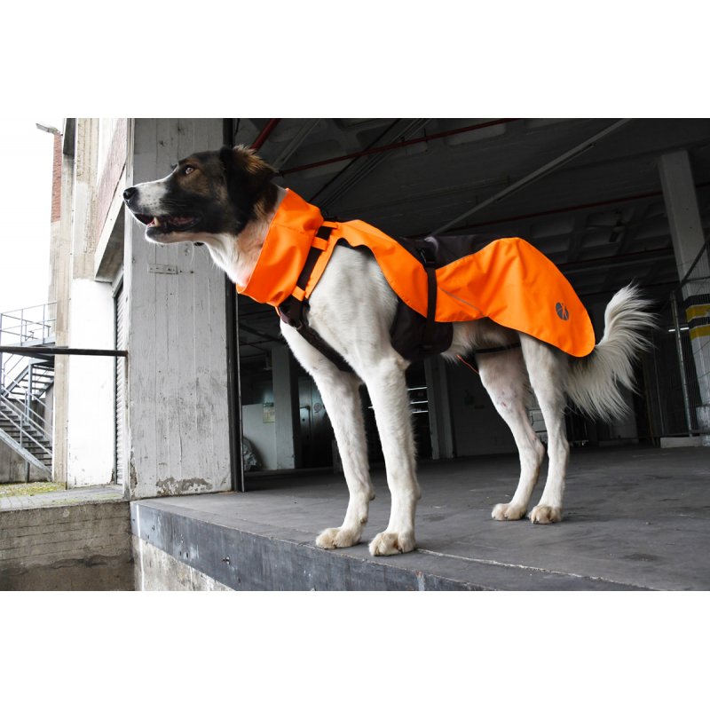 mantelgeschirr-protect-atlantic_2