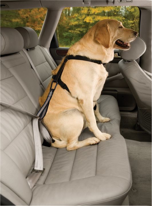 Sicherheitsgurt-Hund Kurgo Seatbelt Tether Haltegurt Rückhaltesystem (Auto- Sicherheitsgurt  für Hunde)