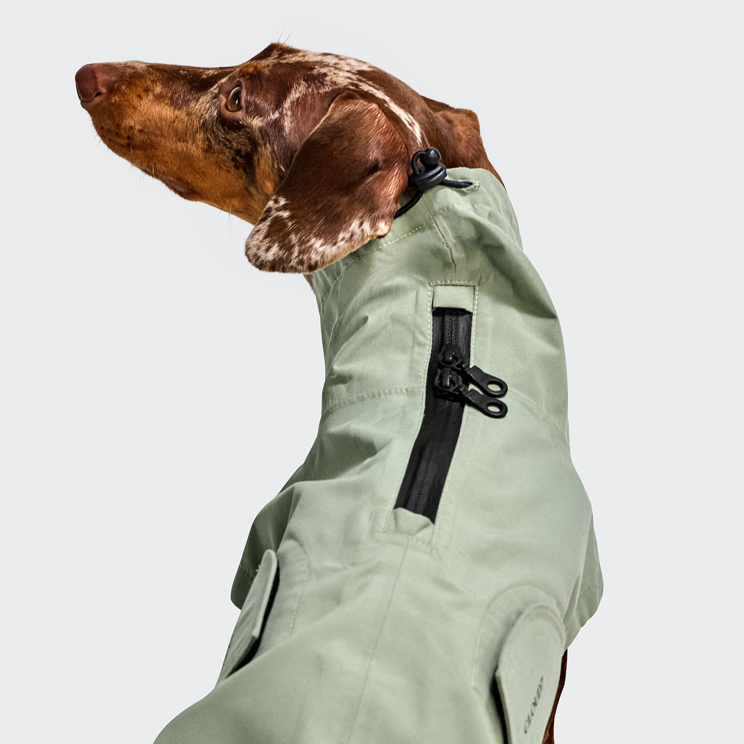 CLOUD7 Dackel Hunderegenmantel Dublin 2.0 Dusty Mint