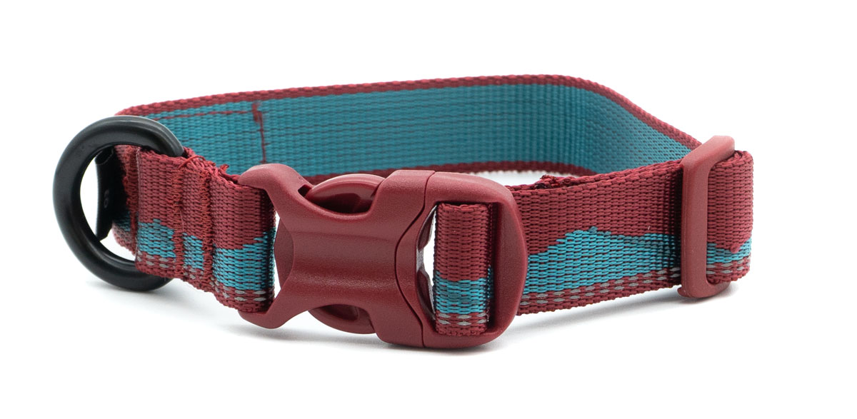 Non-Stop-HB-Rot-tuerkis-front Non-stop dogwear Trail quest collar sunset wine/teal