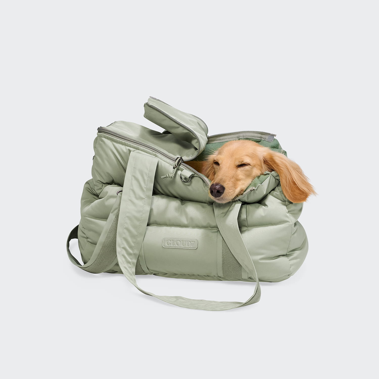 Cloud7 Hundetasche Montreal 2.0 Dusty Mint