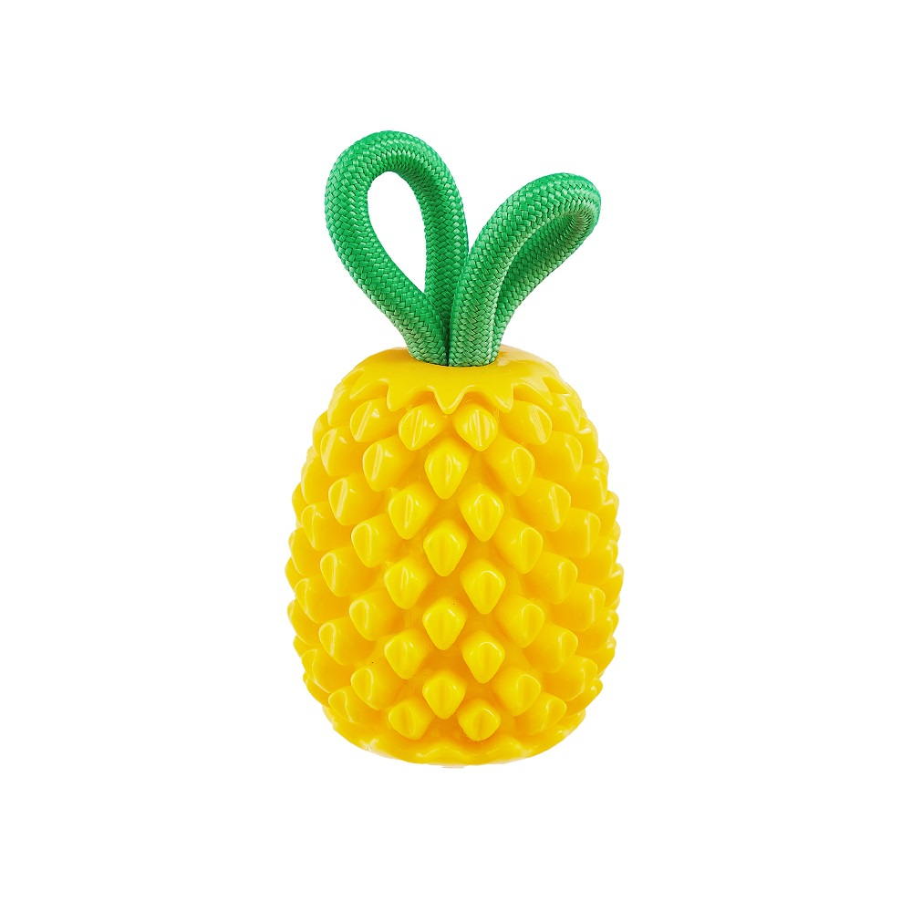 Planet Dog Dental Pineapple yellow