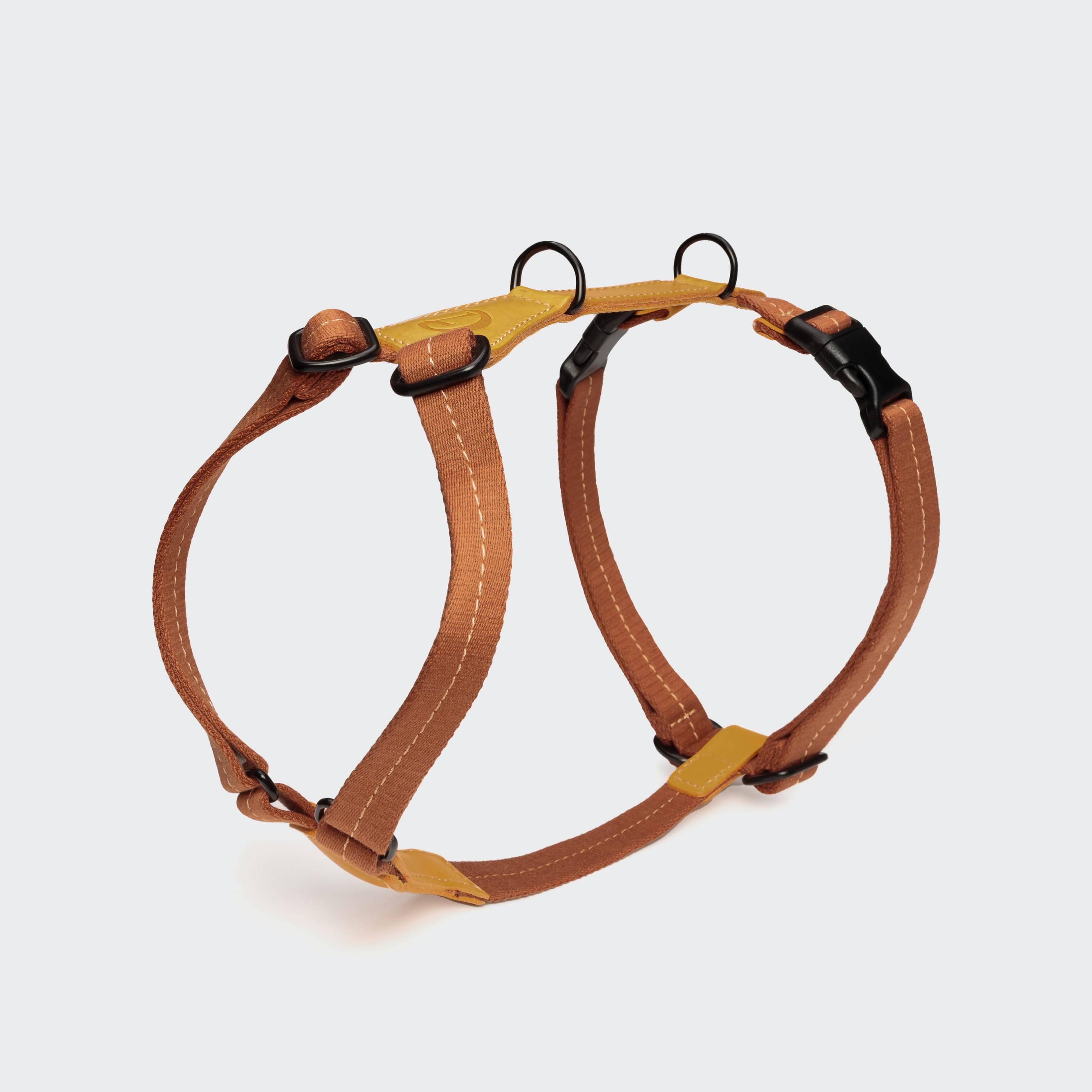 cloud7-y-hundegeschirr-madeira-ginger-on-grey Cloud7 Y Hundegeschirr Madeira Ginger