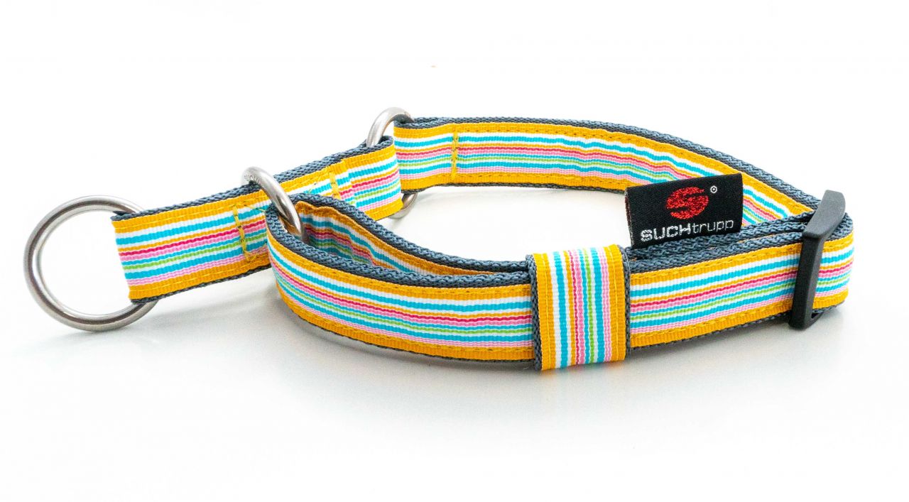 DSC01900qlp0qGa2KoyJZ SUCHtrupp® Sunny / Grau Schlupfhalsband