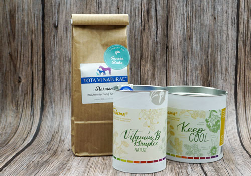 Nervenfunktion & Stimmung