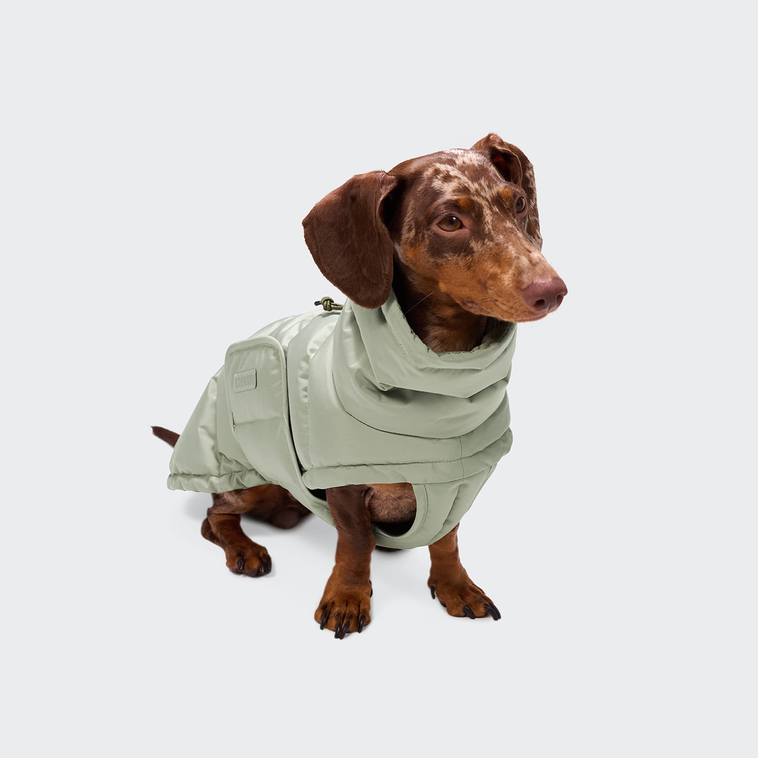 Cloud7 Hundemantel Dackel Alaska Dusty Mint