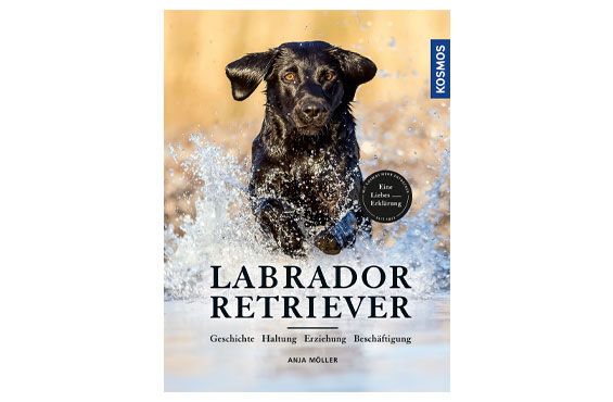 B-cher-f-r-Hundef-hrer