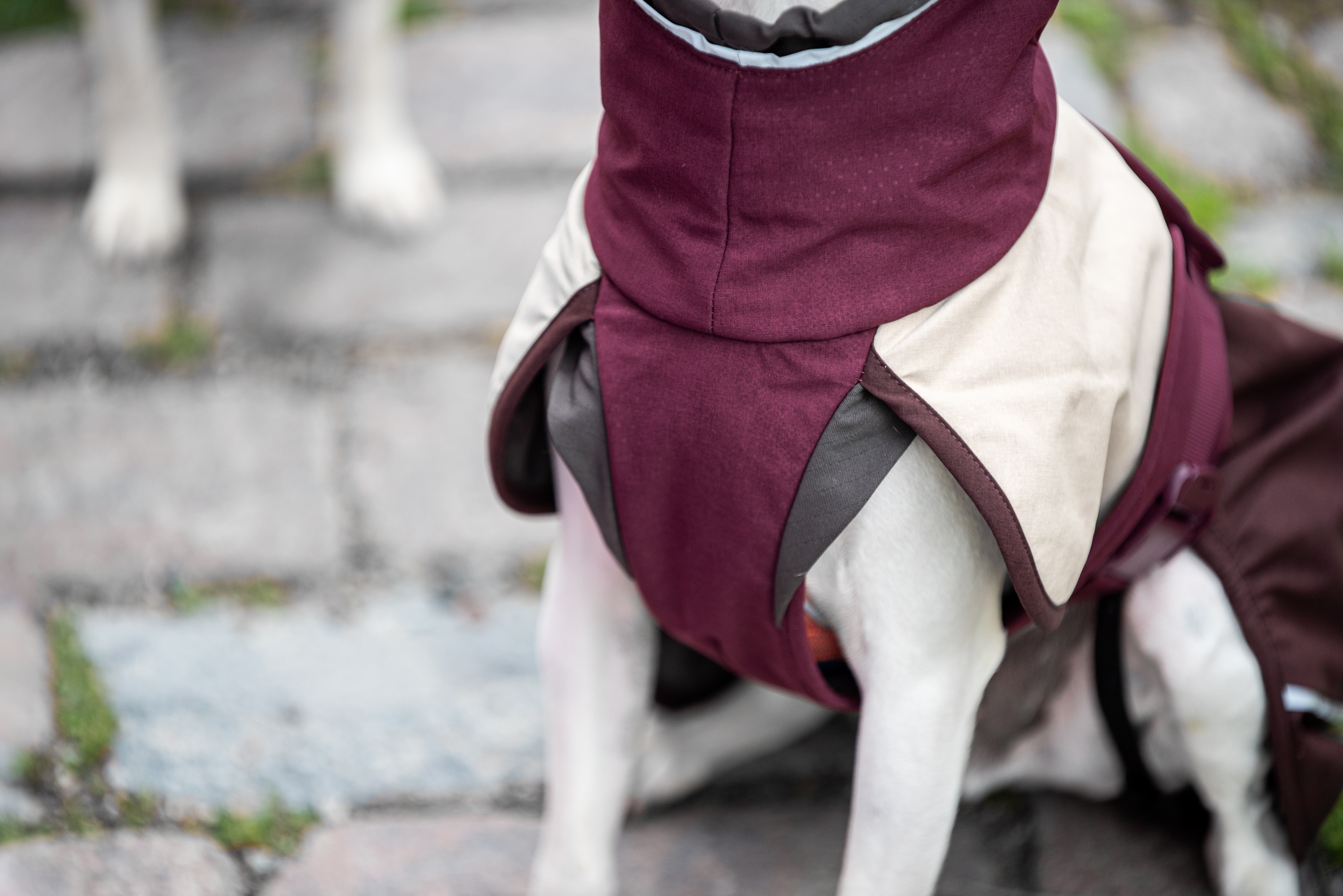 ArcticPomppa Hundewintermantel Maroon