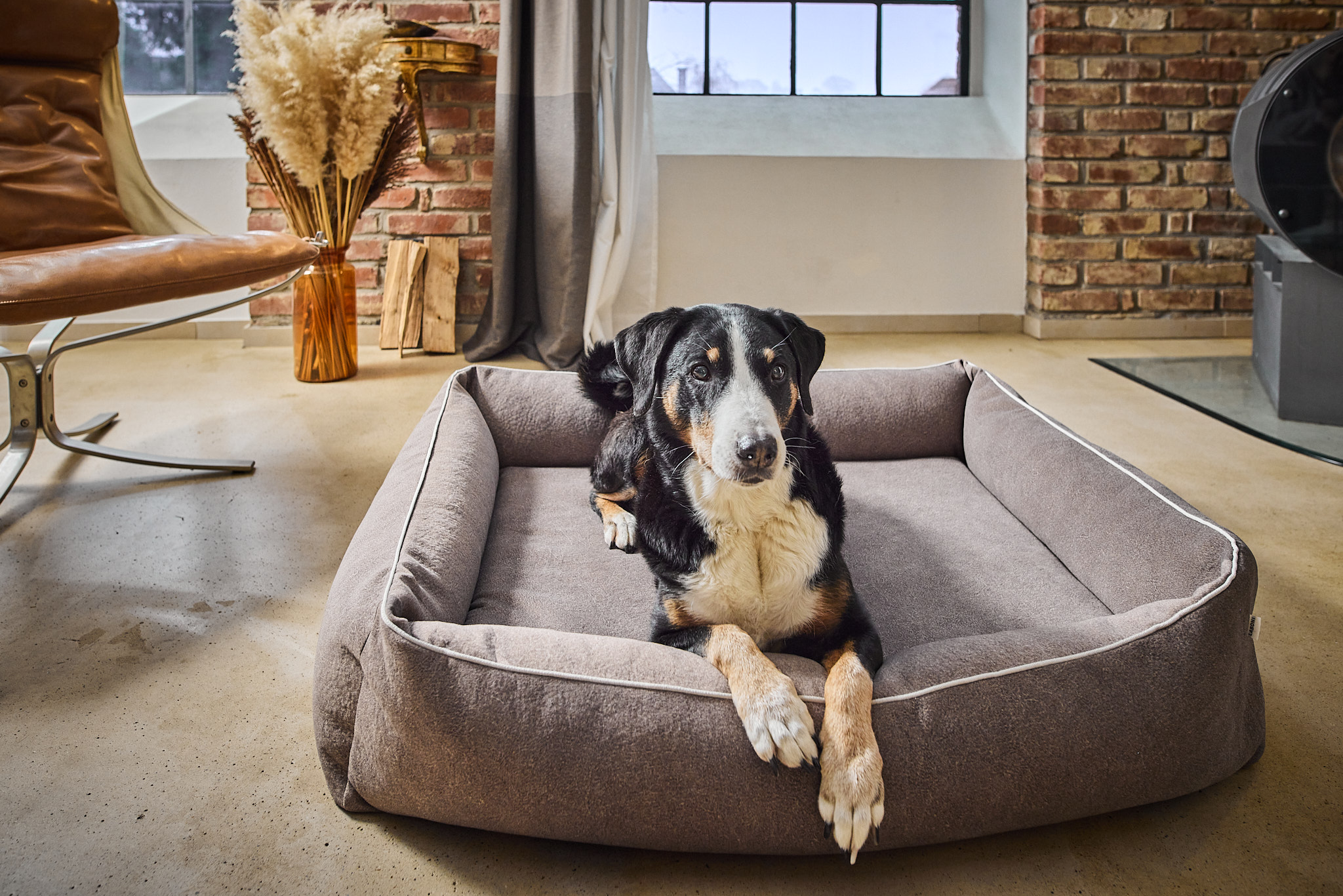 LABONI_Polsterbett_Buffalo_taupe_L_09