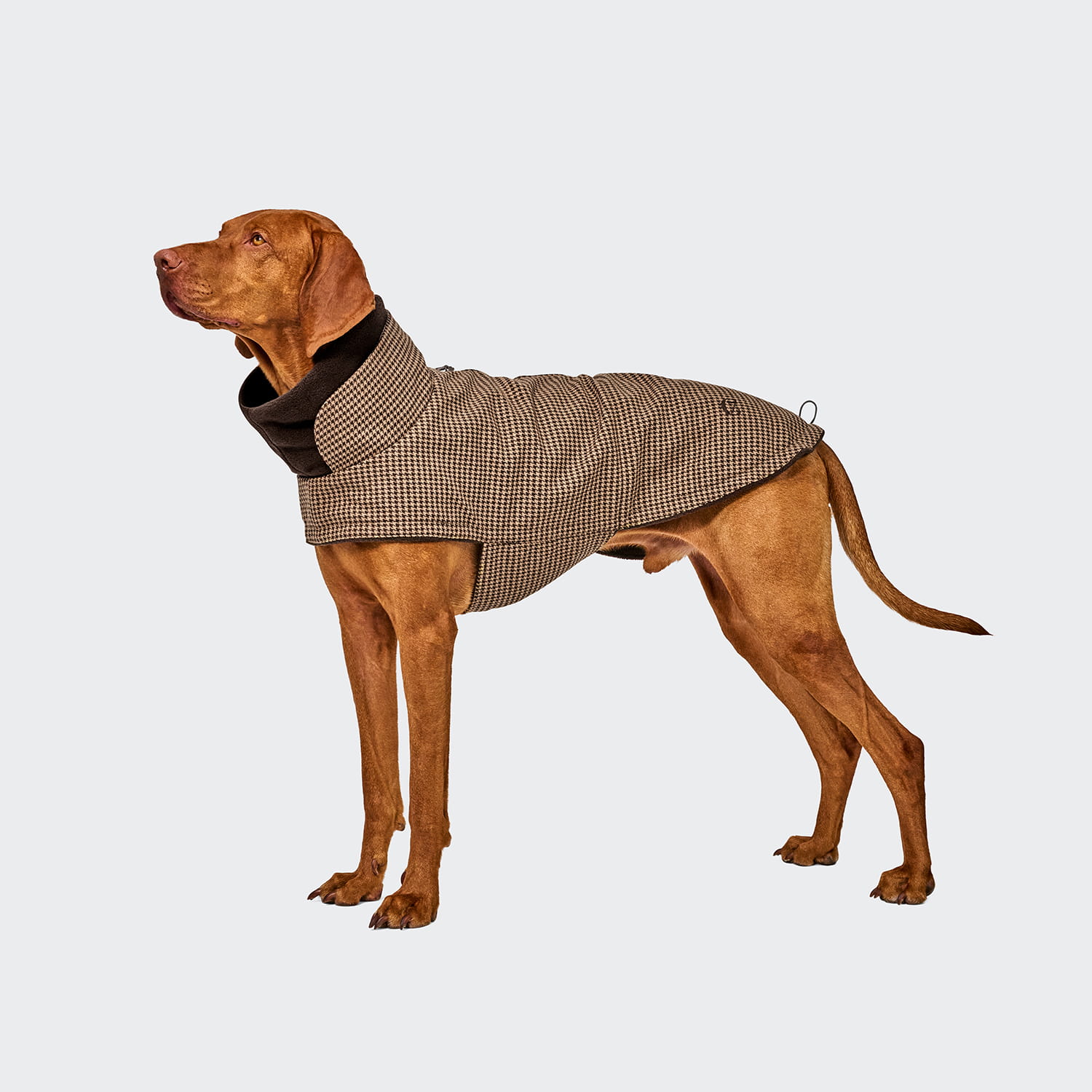 CLOUD7 Hundemantel Brooklyn Hahnentritt