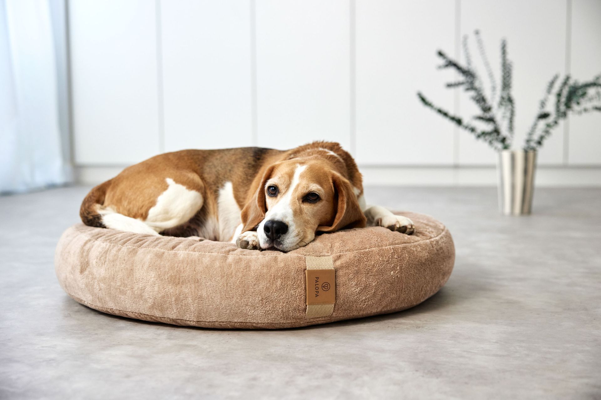 PALOPA Hundebetten