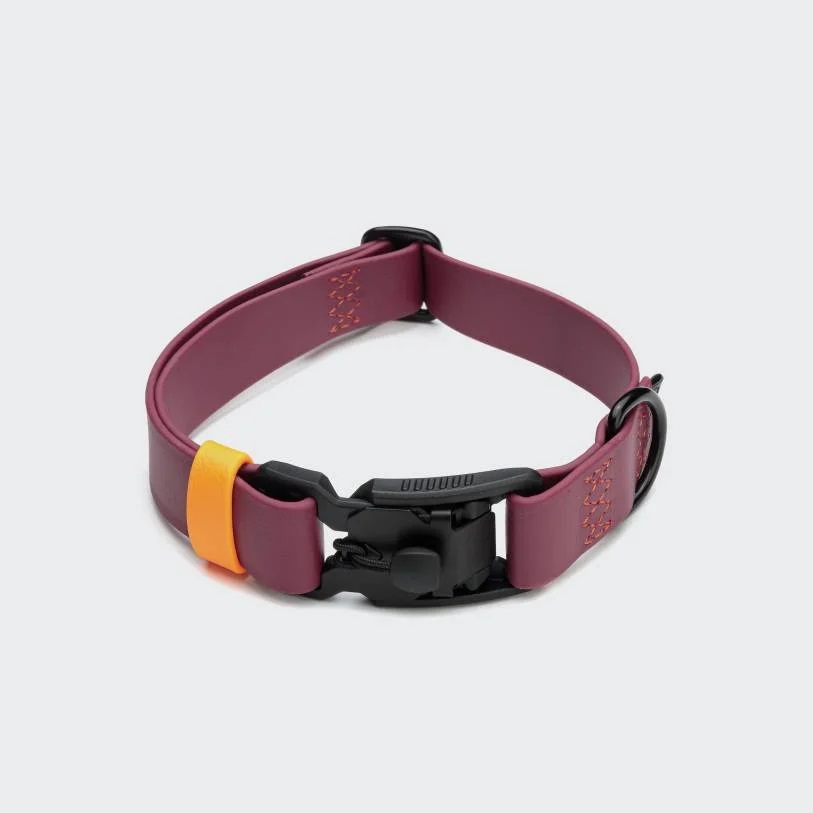 cloud7-dog-collar-ipanema-magenta-on-grey Cloud7 Bio Thane Hundehalsband Ipanema Magenta-Orange