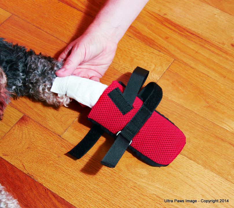 1_Picture_029__45099-1399666337-1280-1280