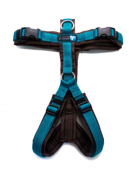 annyx-fun-Sonderfarbe-Braun-Tuerkis-web annyX Geschirr Fun Braun / Petrol