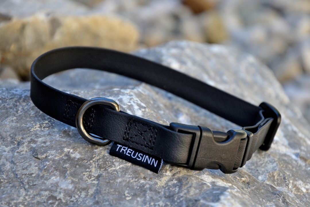 TREUSINN BioThane Halsband 25mm, verstellbar