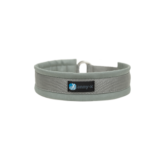 Zugstopphalsband-Fun_Farbe_grau-silber AnnyX Zugstopp Halsband Grau / Silber