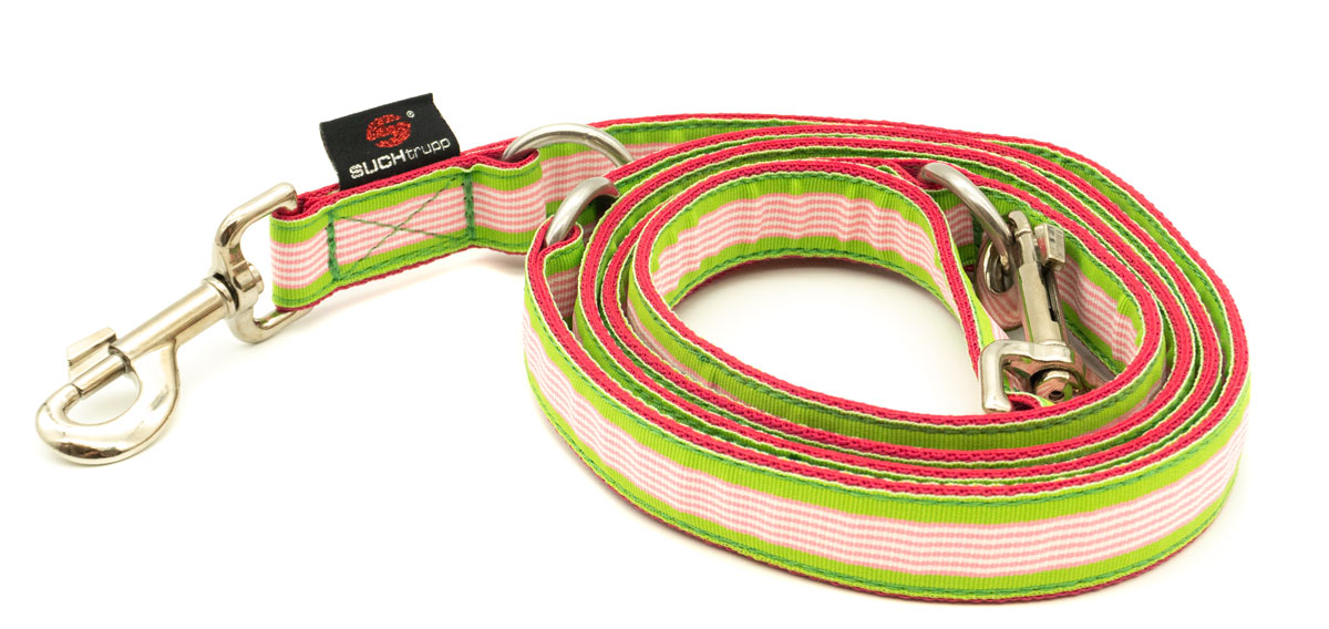 SUCHtrupp® Langleine LOLLY 2 m / 2,5 cm breit , 3-fach verstellbar 