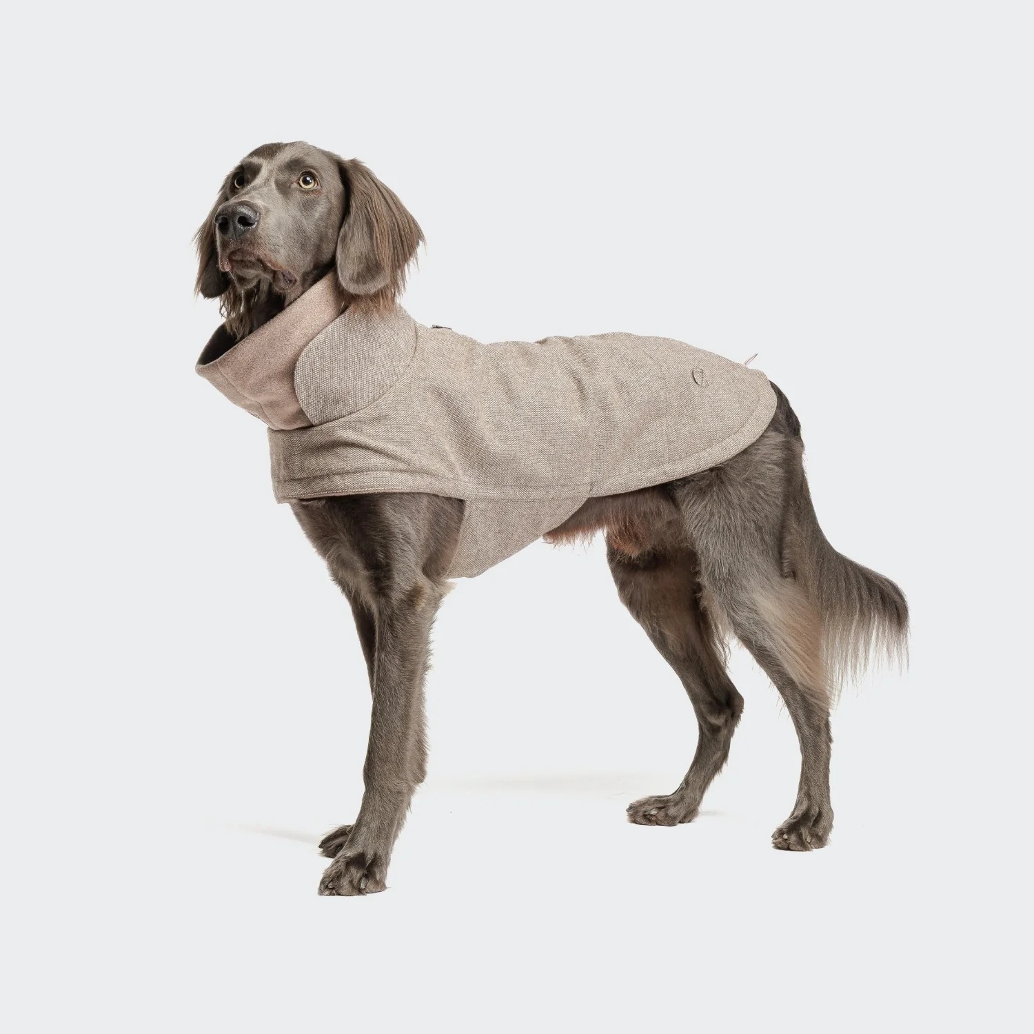 CLOUD7 Hundemantel Brooklyn Tweed Beige