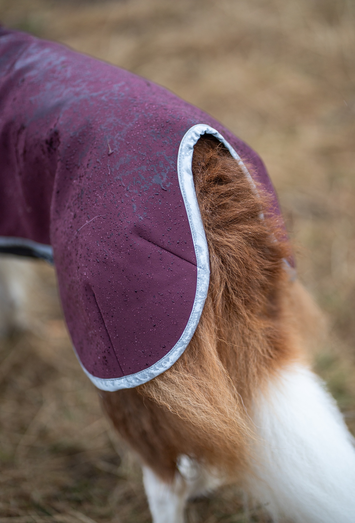 Pomppa SporttiPomppa Softshell Hundemantel Maroon