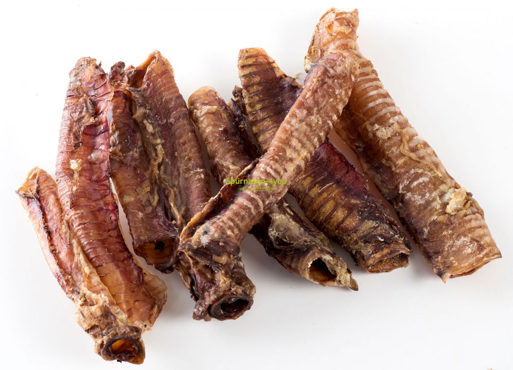 Lamm Luftröhre 150 g