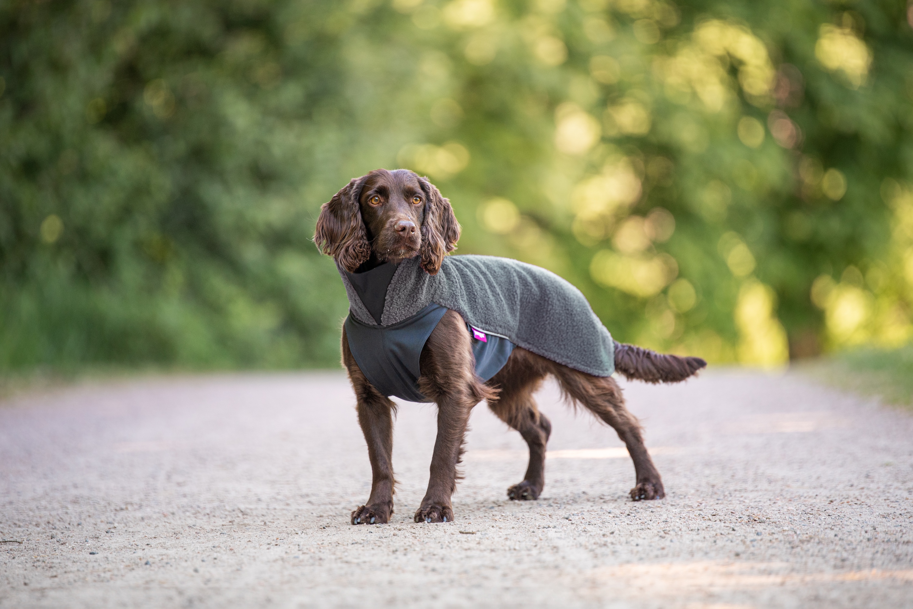 Pomppa PolarPomppa Hundepullover Stone