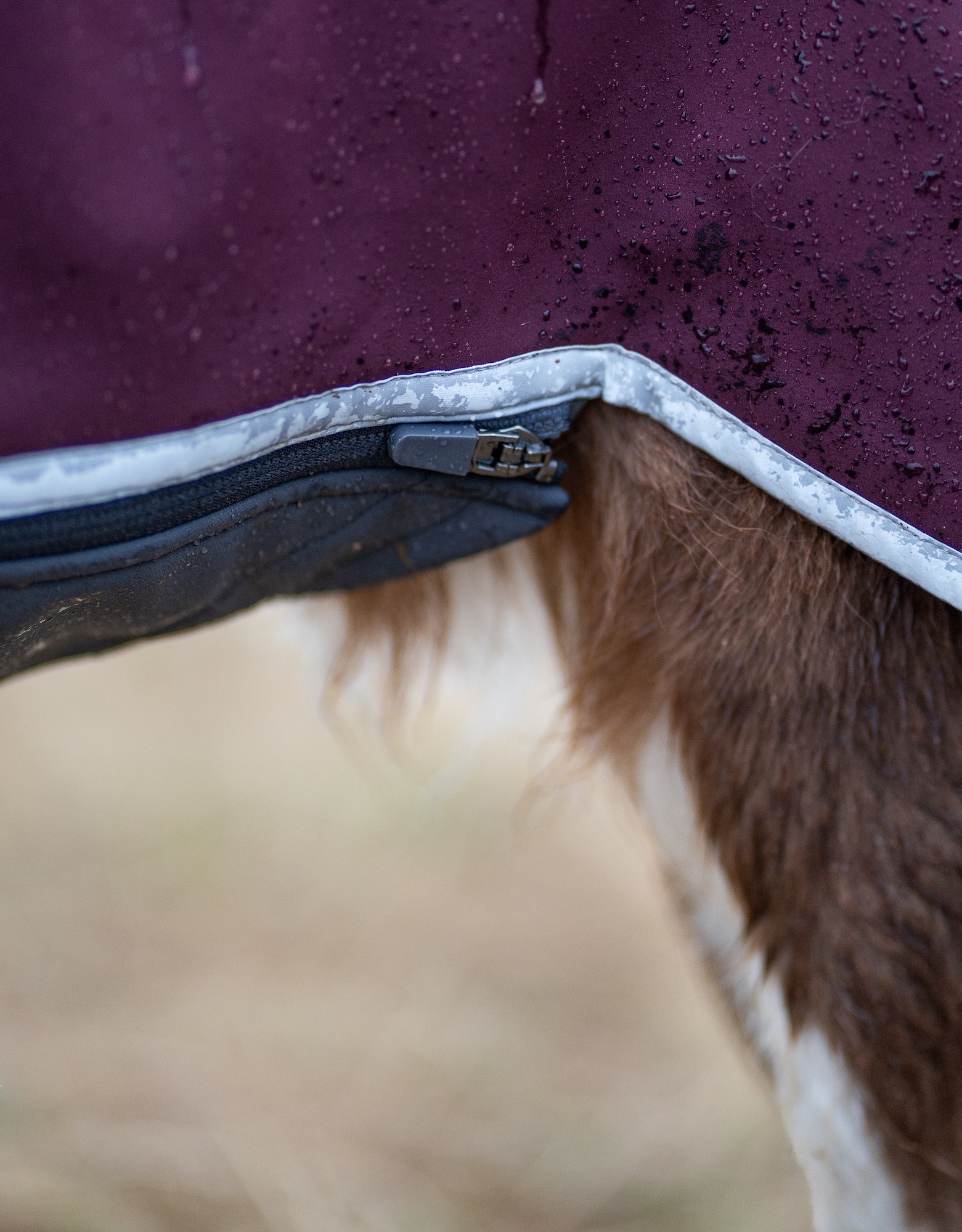 Pomppa SporttiPomppa Softshell Hundemantel Maroon