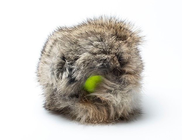 Mystique Rabbit Cover mit Tennisball