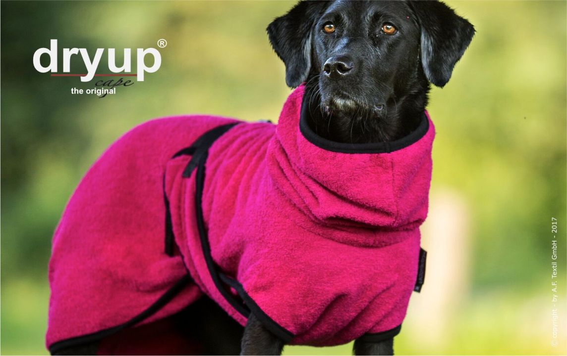 Dryup Cape Pink