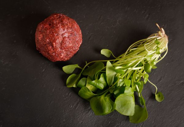 Paul & Paulina  Fannys Variation vom Wild 500 g roh Paul & Paulina  Fannys Variation vom Wild 500 g roh