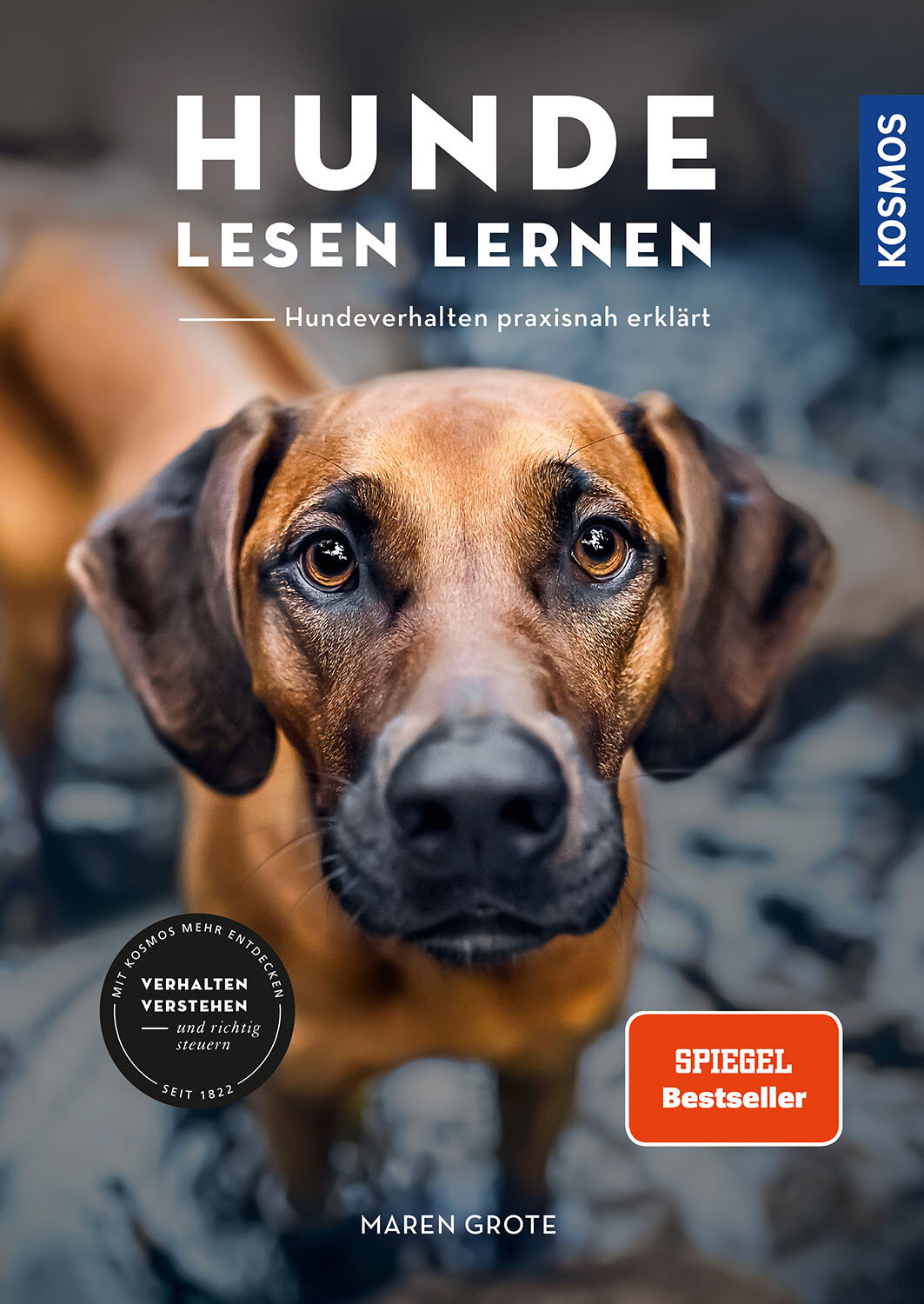 Grote_Hunde-lesen-lernen KOSMOS Hunde lesen lernen