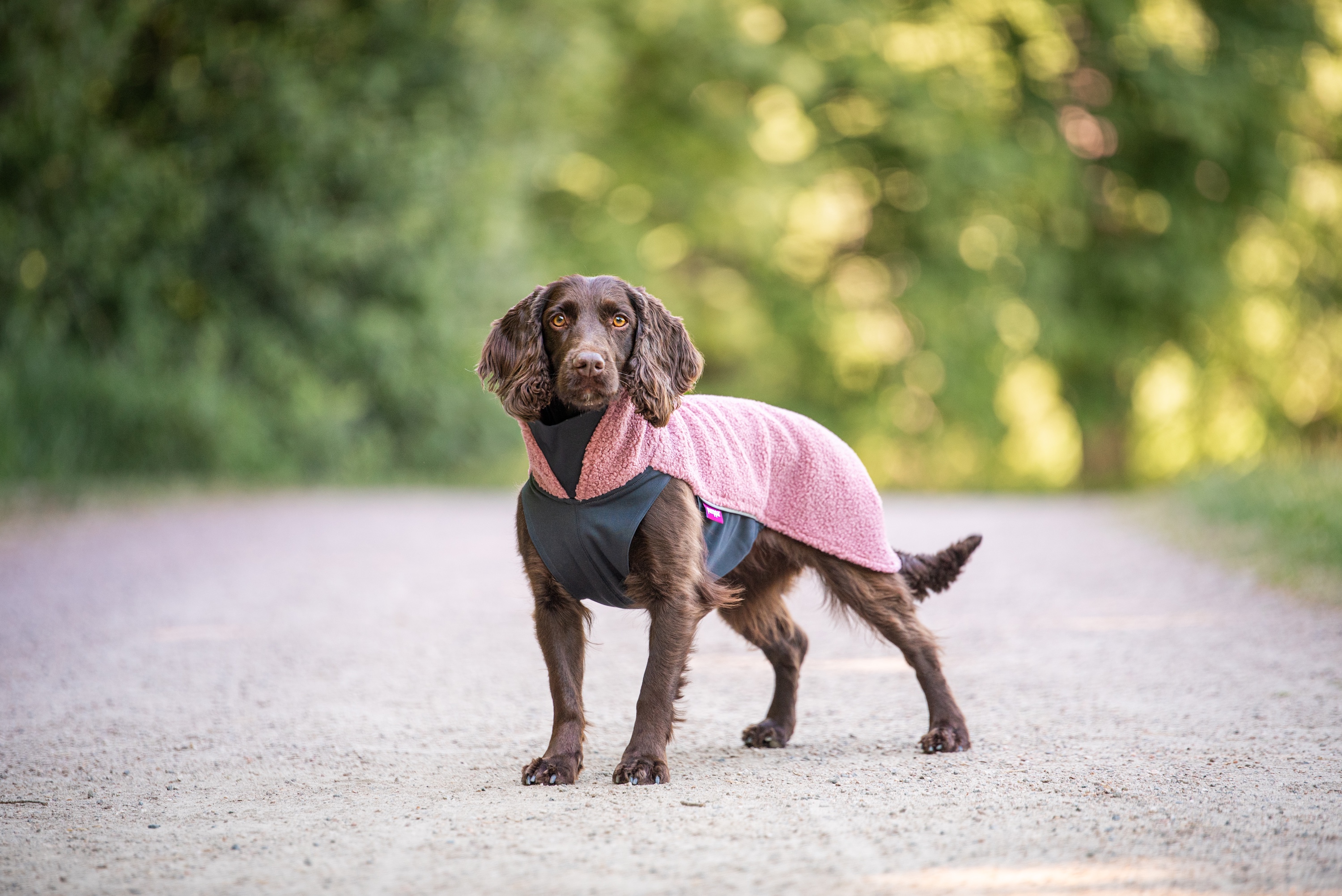 Pomppa PolarPomppa Hundepullover Mallow