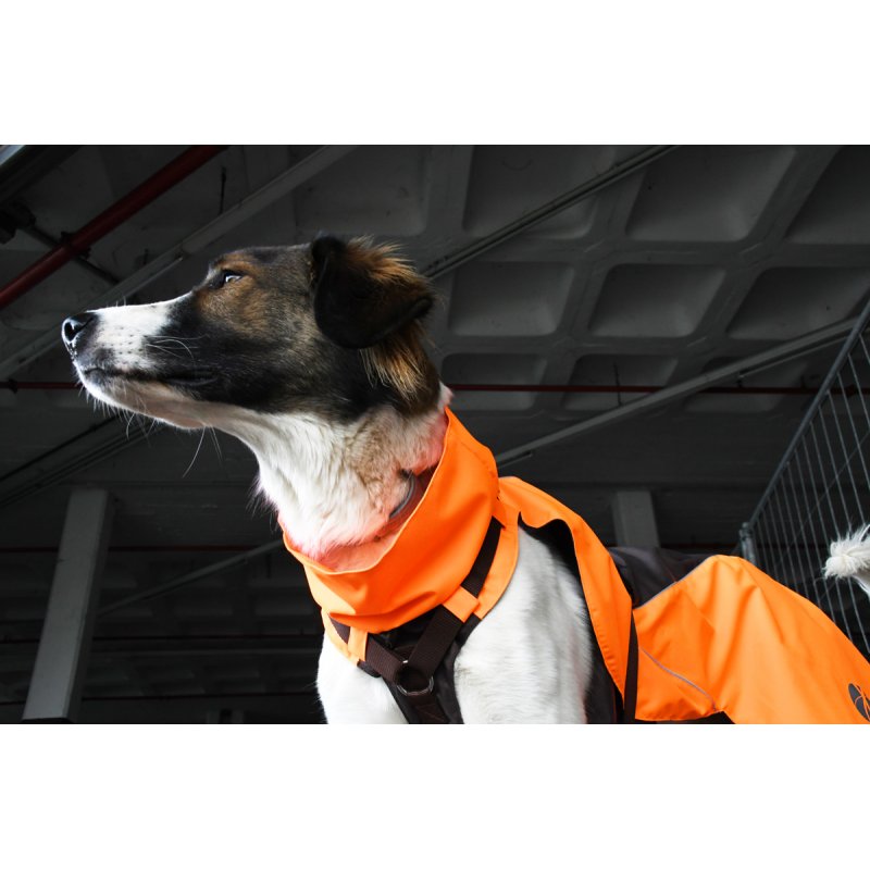 mantelgeschirr-protect-atlantic_3