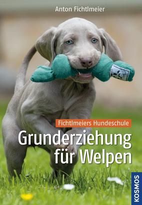 KOSMOS Fichtlmeiers Grunderziehung für Welpen