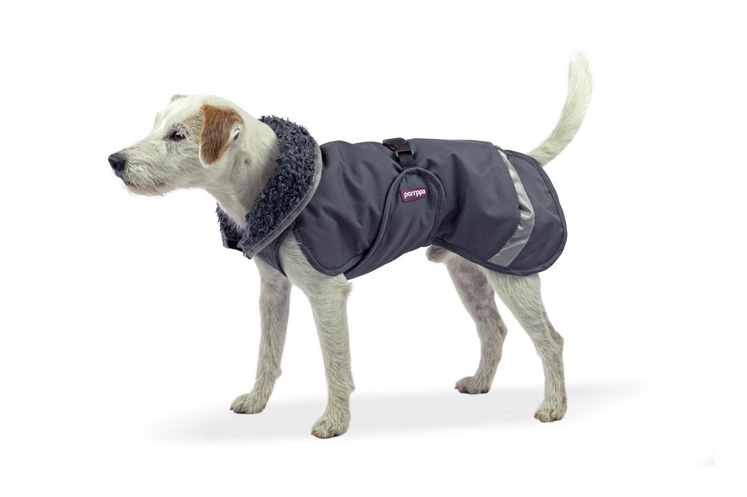 PerusPomppa-graphite-mit-Hund