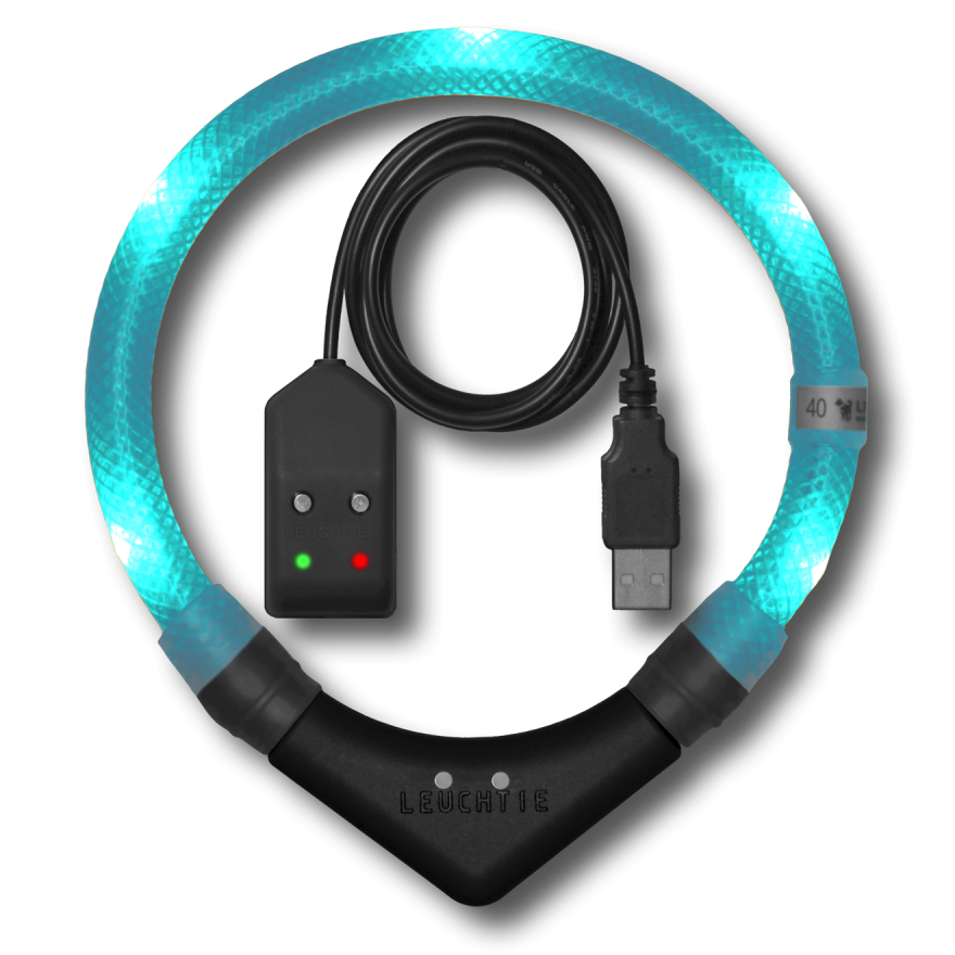 led-leuchthalsband-leuchtie-hund-pro-easycharge-tuerkis LEUCHTIE  Easy Charge Türkis