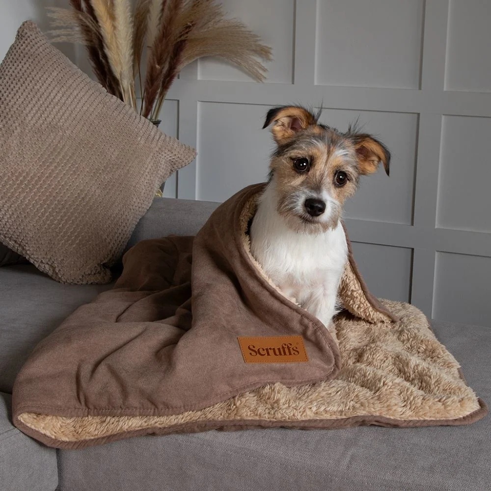Scruffs Cosy Blanket Hundedecke (110 x 75 cm)