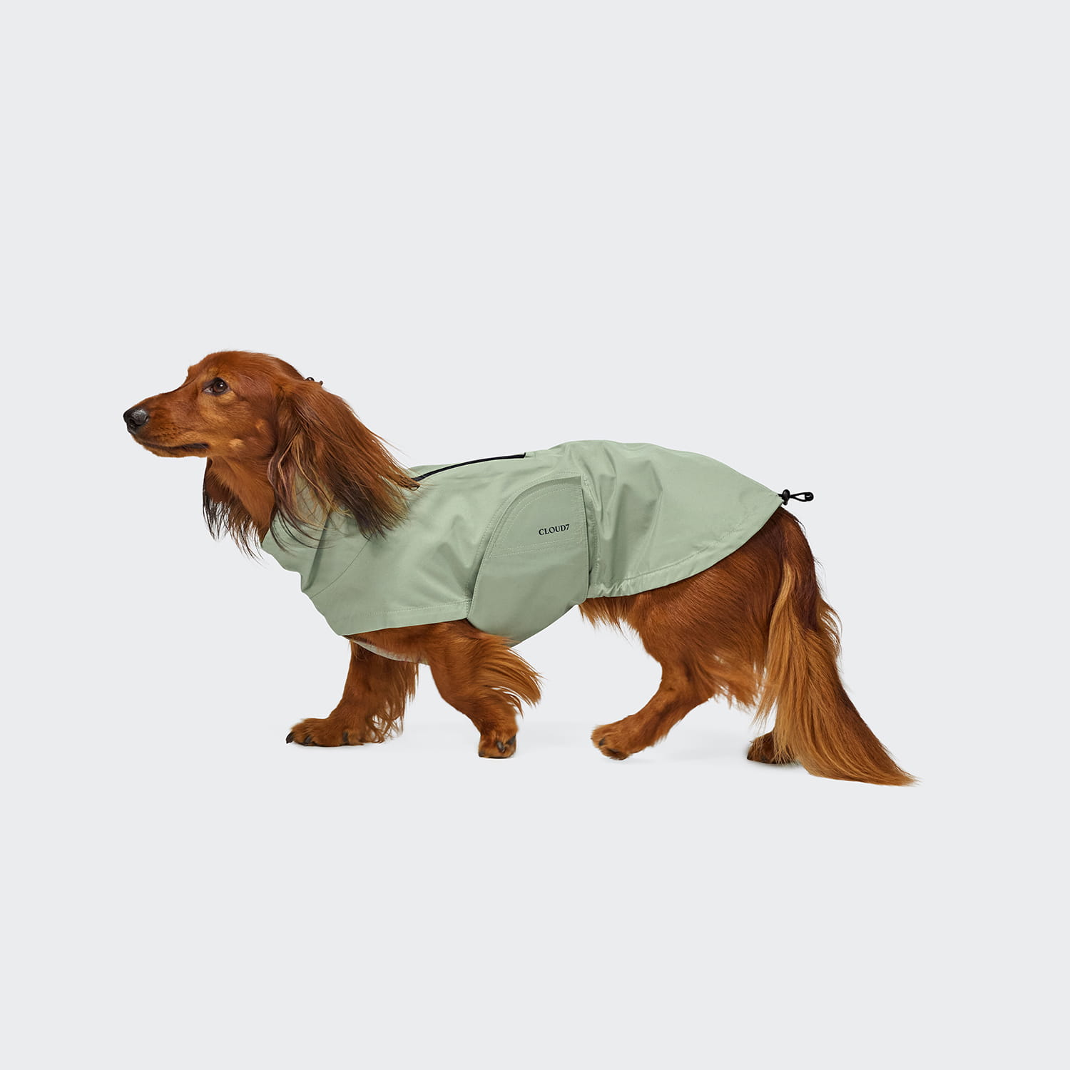 CLOUD7 Dackel Hunderegenmantel Dublin 2.0 Dusty Mint