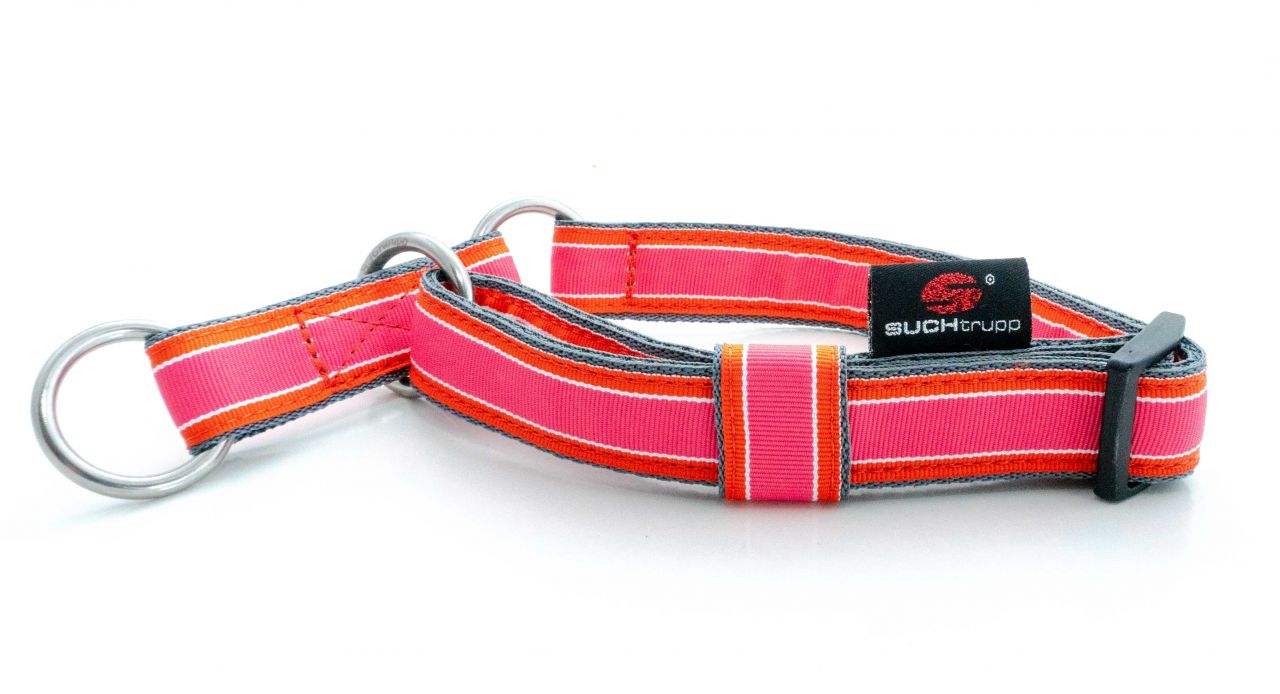 DSC01903 SUCHtrupp® Juicy / Grau Schlupfhalsband Medium