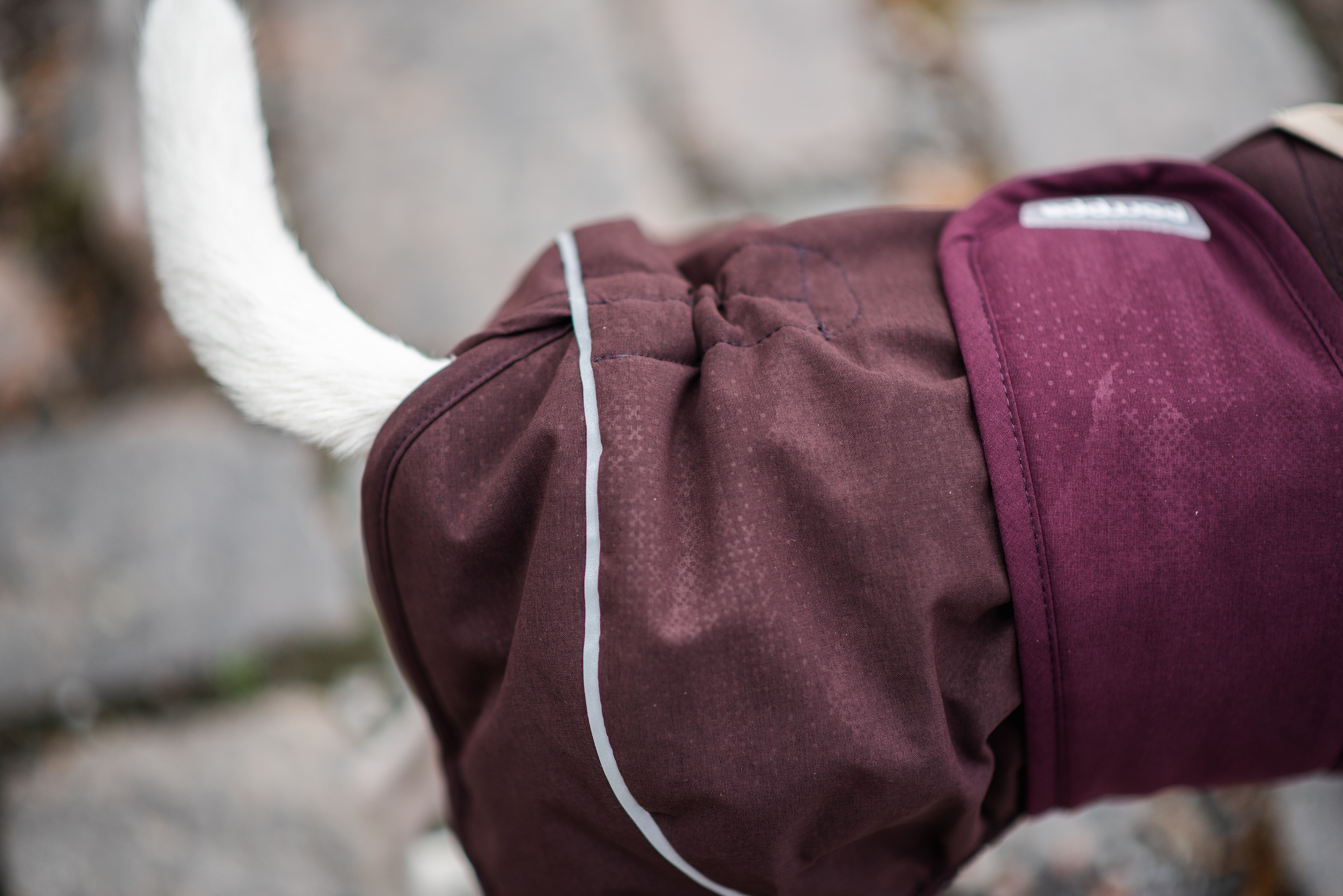 ArcticPomppa Hundewintermantel Maroon
