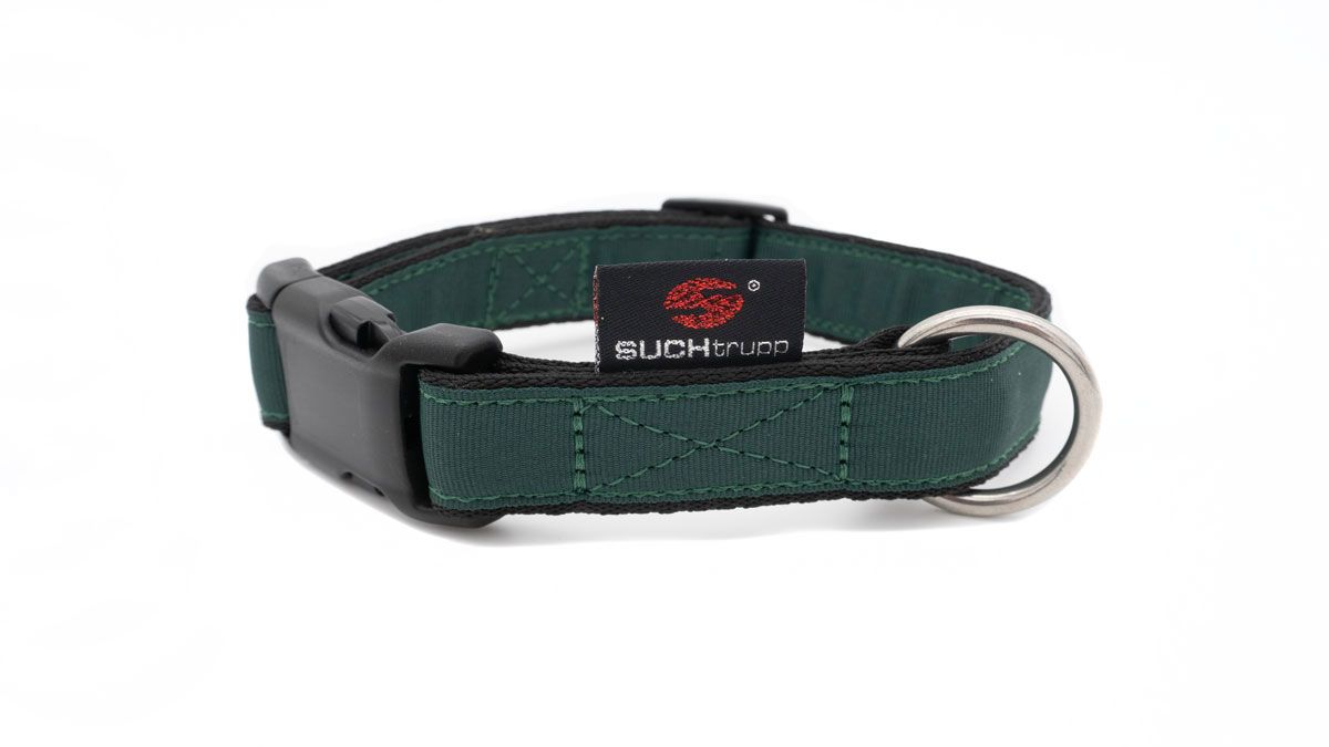 Suchtrupp-British-Racing-Green-mit-schwarz9TrTibxY63UWa SUCHtrupp® PURE British Racing Green Steckhalsband