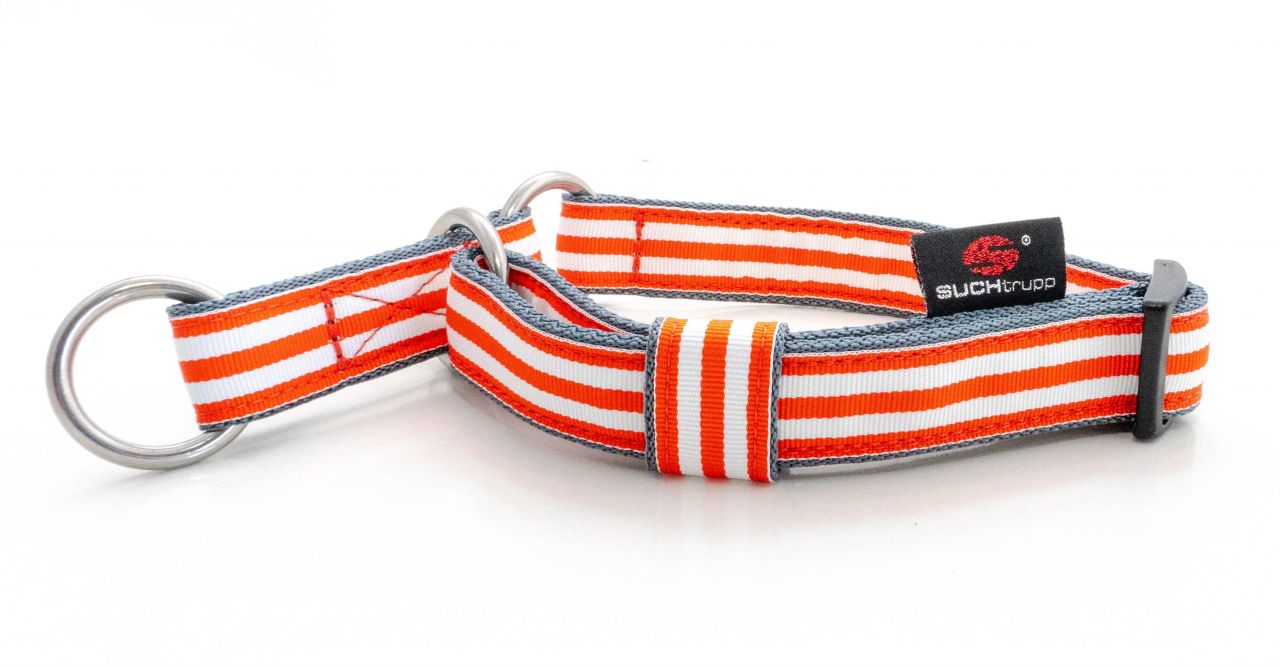 DSC01899 SUCHtrupp®  Orange Beach / Grau Schlupfhalsband