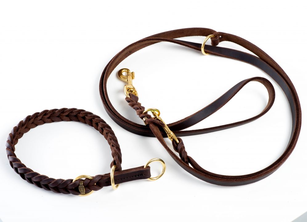 Dressurhalsband-Messing-WebSet